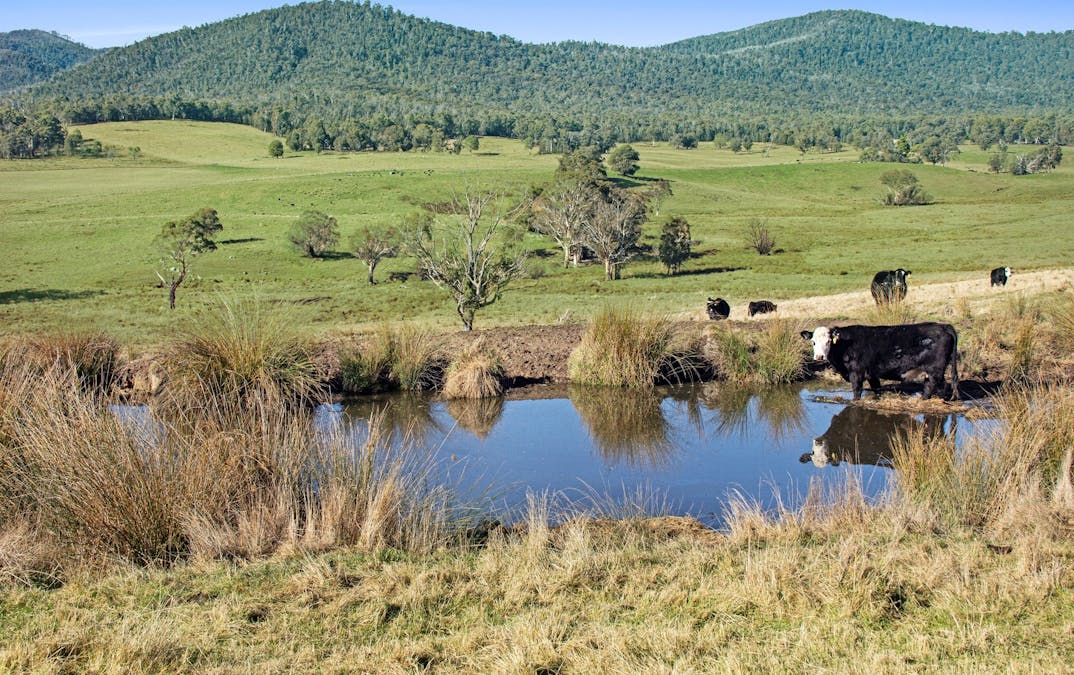 145 Waterhole Gully Road, Bonang, VIC, 3888 - Image 3