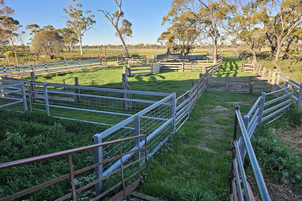 3904 Hyden - Mount Walker Road, Woolocutty, WA, 6369 - Image 15