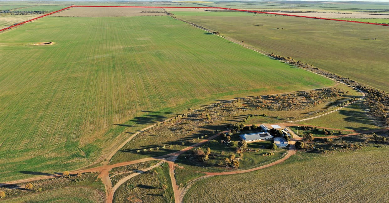 3904 Hyden - Mount Walker Road, Woolocutty, WA, 6369 - Image 6