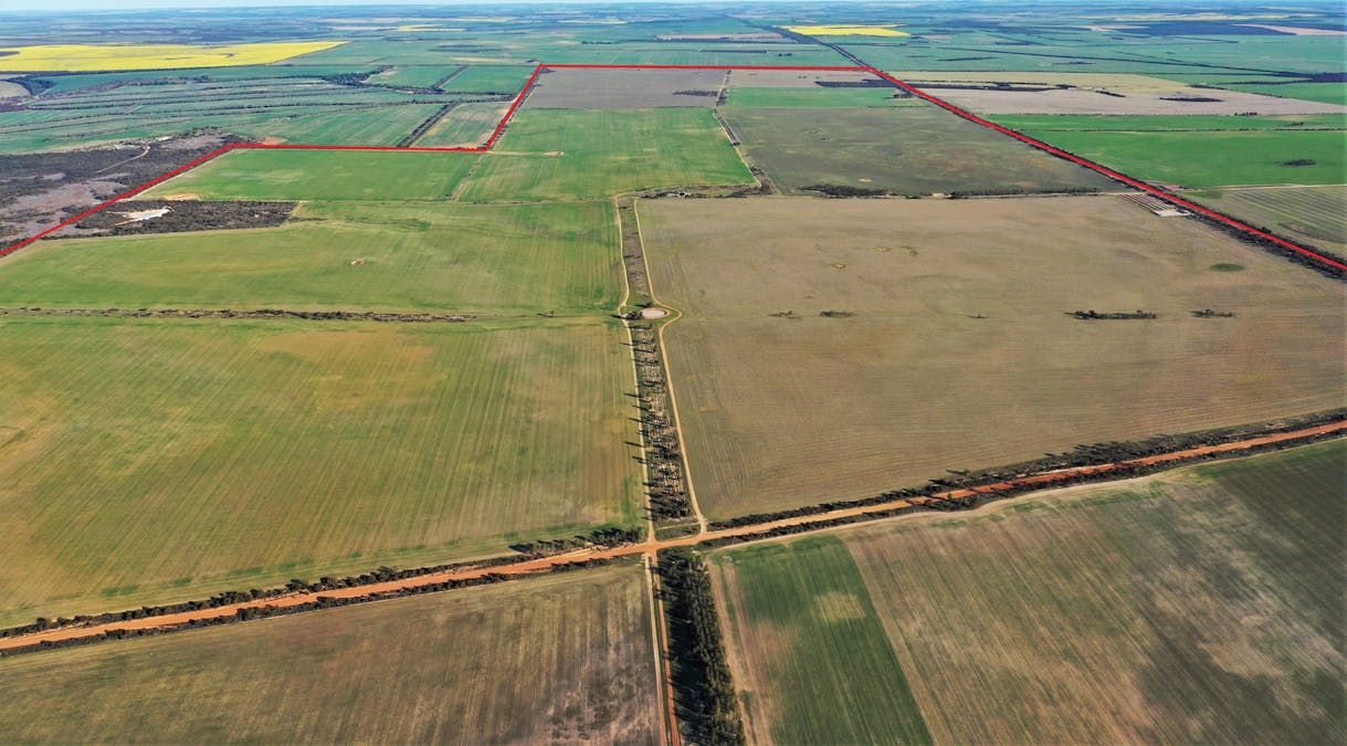 3904 Hyden - Mount Walker Road, Woolocutty, WA, 6369 - Image 4