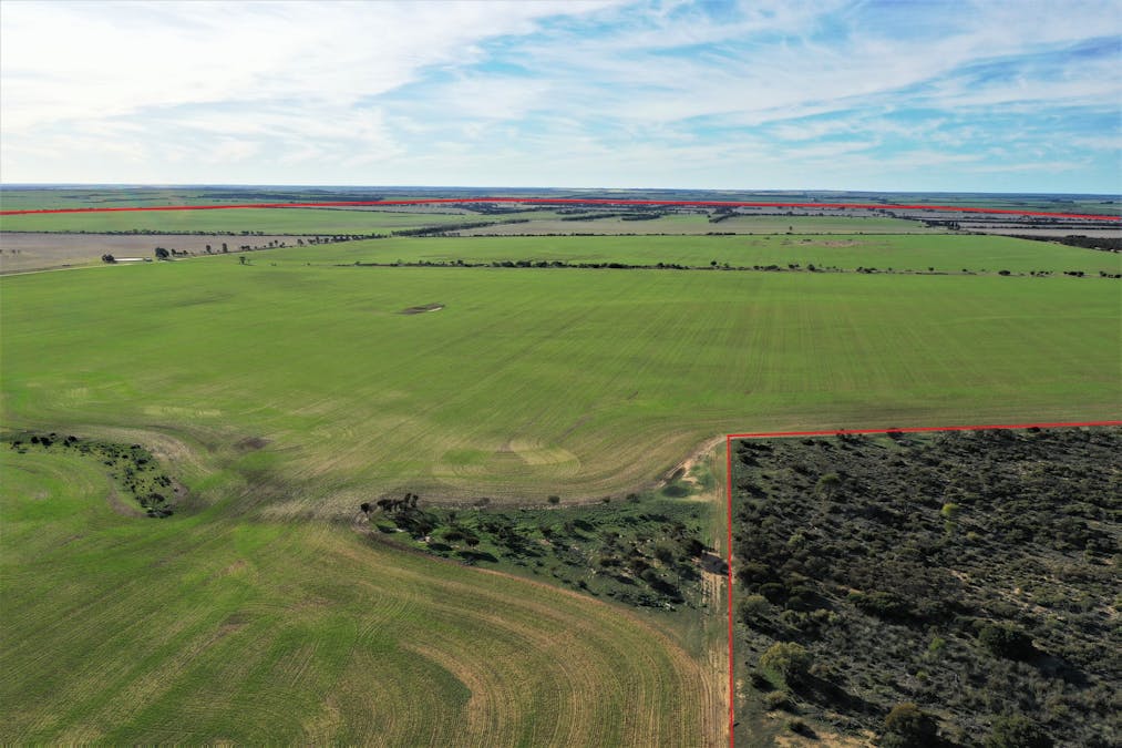 3904 Hyden - Mount Walker Road, Woolocutty, WA, 6369 - Image 5