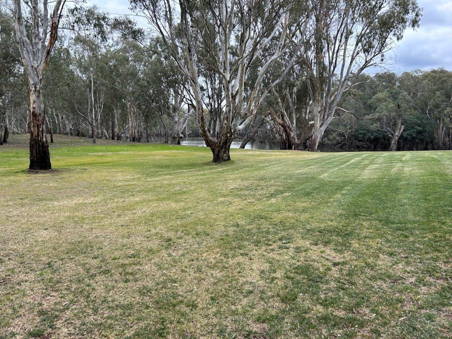 1725 Perricoota Road, Moama, NSW, 2731 For Sale Elders Real Estate