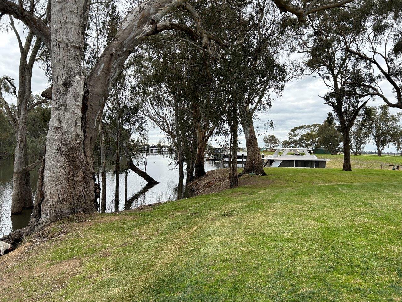 1725 Perricoota Road, Moama, NSW, 2731 For Sale Elders Real Estate