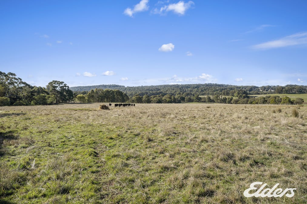 Bonnie Doon Road, Boho South, VIC, 3669 - Image 2