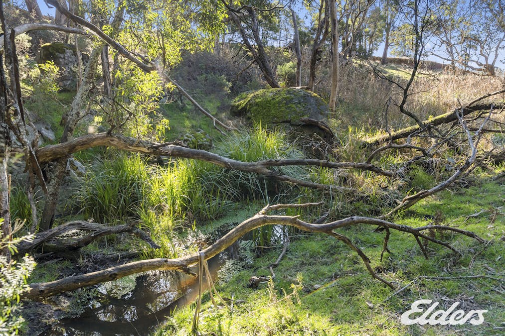 Bonnie Doon Road, Boho South, VIC, 3669 - Image 7