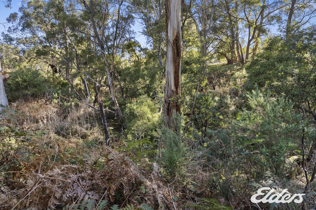 Bonnie Doon Road, Boho South, VIC, 3669 - Image 8