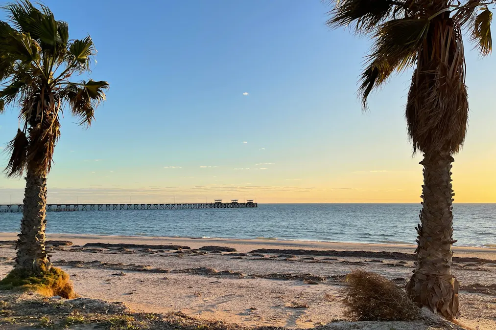 32 Denton Street, Smoky Bay, SA, 5680 Under Contract Elders Real Estate