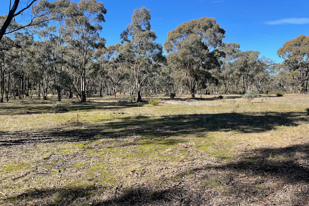 Archdale Road, Stuart Mill, VIC, 3477 - Image 1