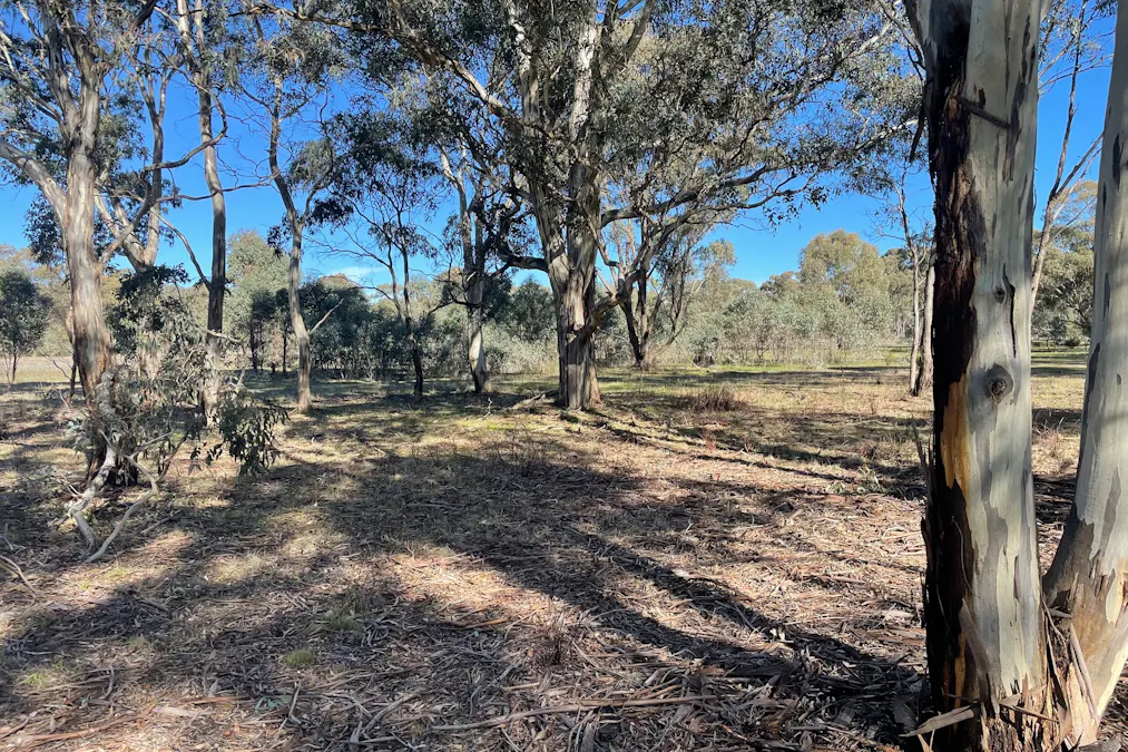 Archdale Road, Stuart Mill, VIC, 3477 - Image 3