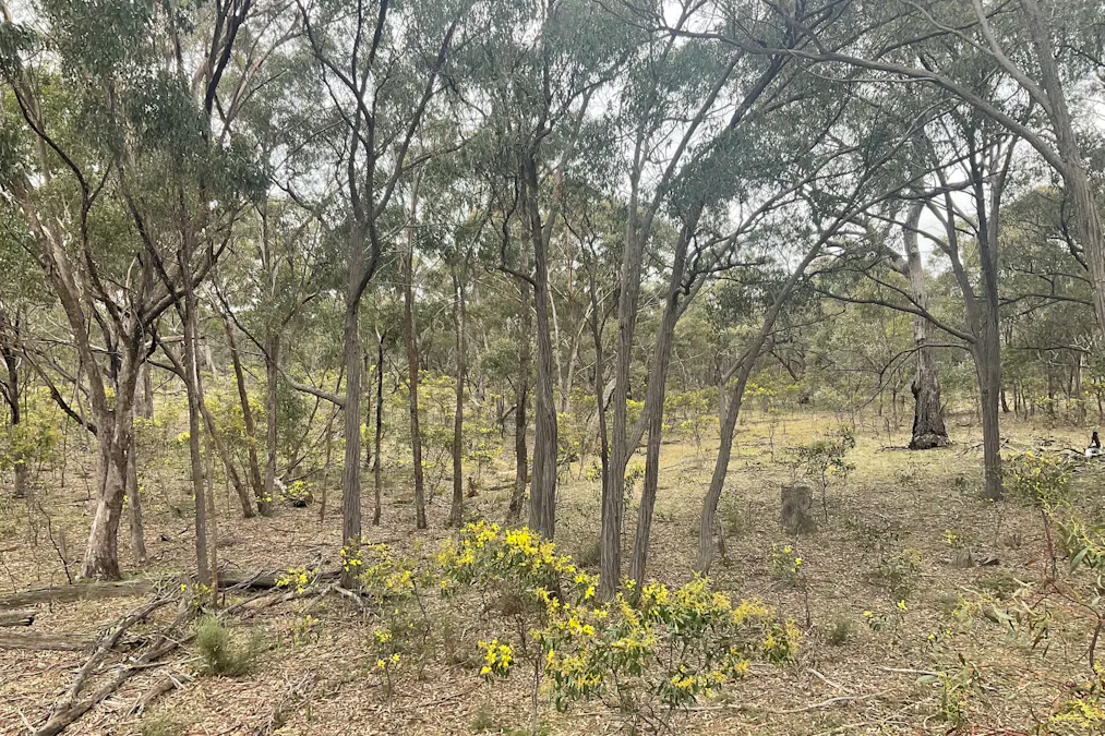 Archdale Road, Stuart Mill, VIC, 3477 - Image 13