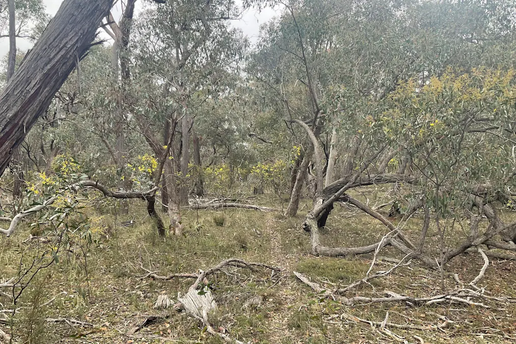 Archdale Road, Stuart Mill, VIC, 3477 - Image 17