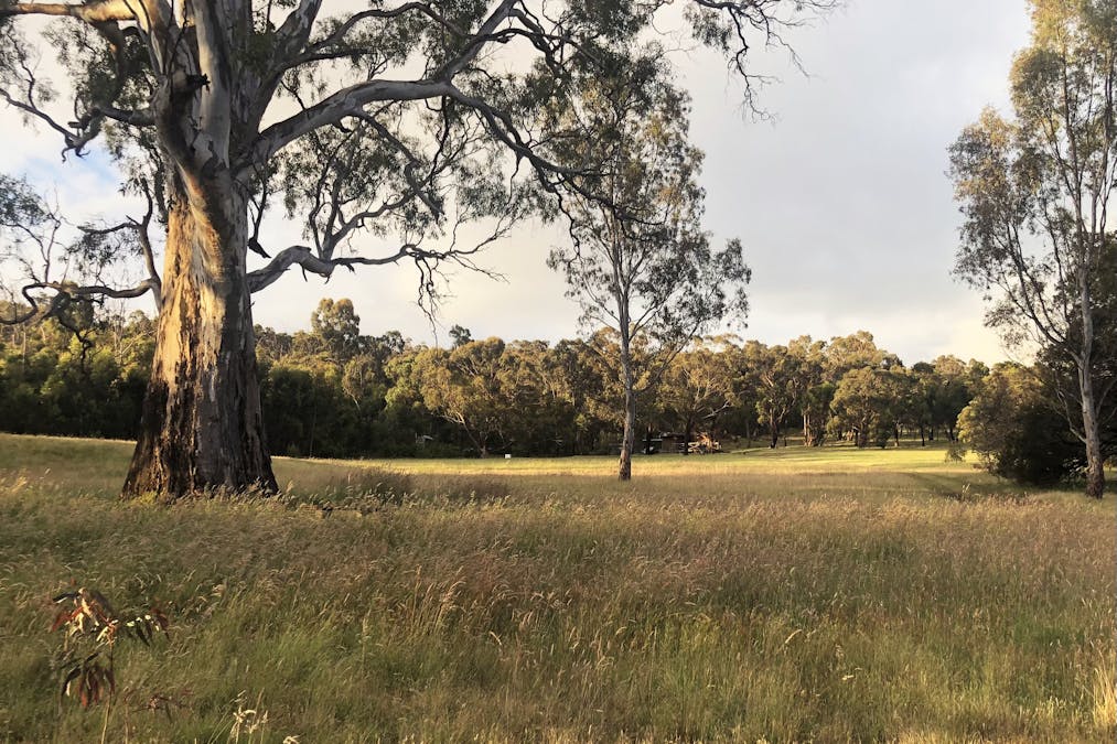 Victoria Valley Road, Mirranatwa, VIC, 3294 - Image 18