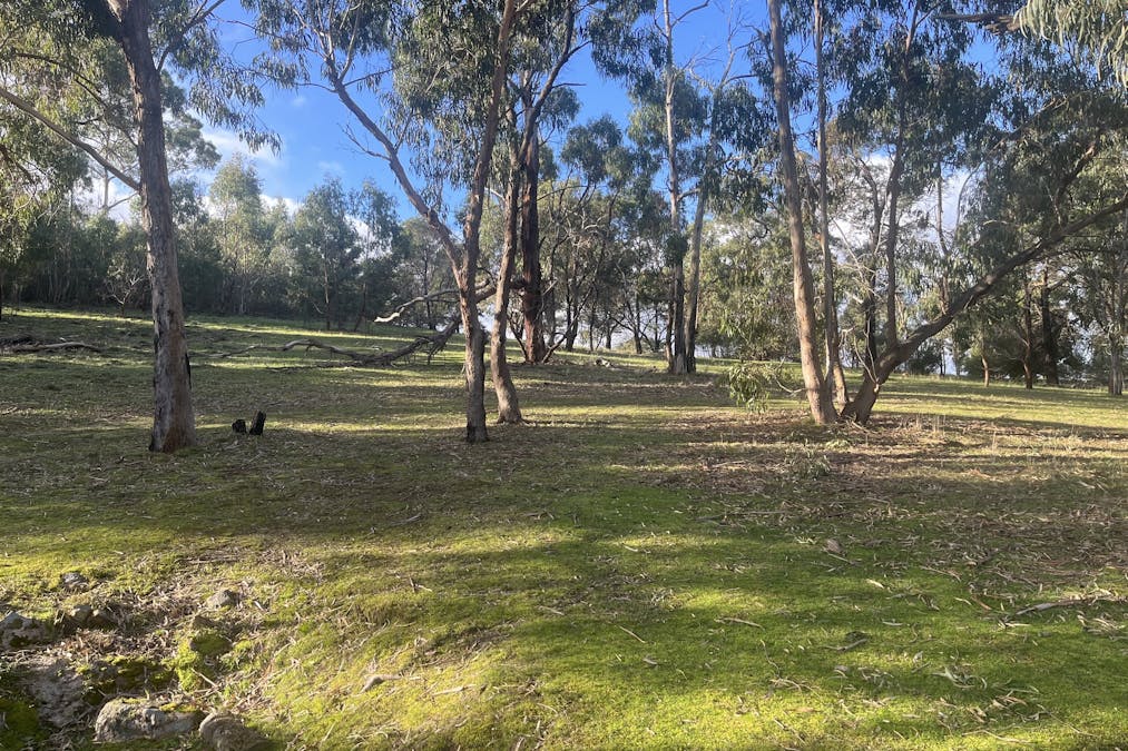 Victoria Valley Road, Mirranatwa, VIC, 3294 - Image 19