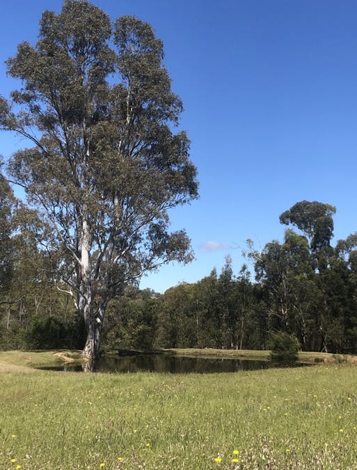 Victoria Valley Road, Mirranatwa, VIC, 3294 - Image 24