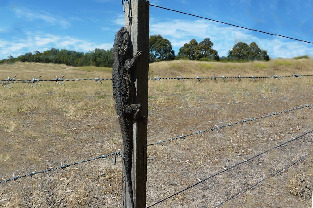 Victoria Valley Road, Mirranatwa, VIC, 3294 - Image 33