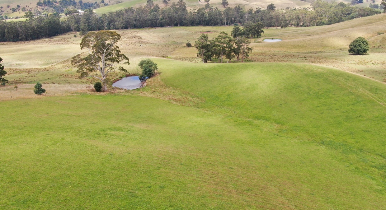 394 South Road, Loch, VIC, 3945 - Image 13