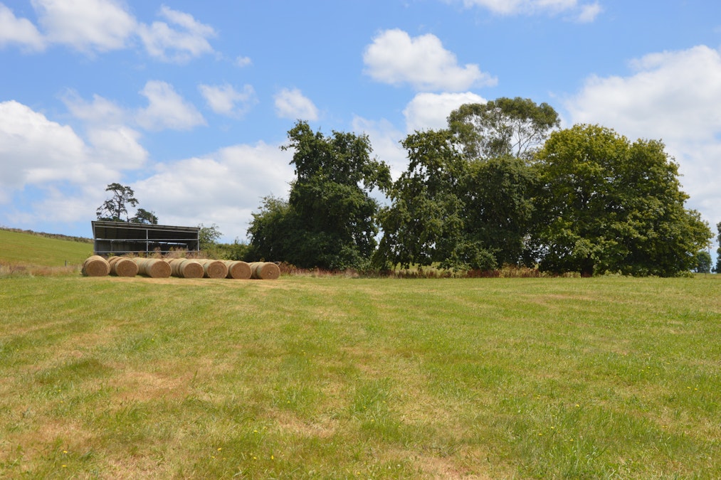 394 South Road, Loch, VIC, 3945 - Image 20