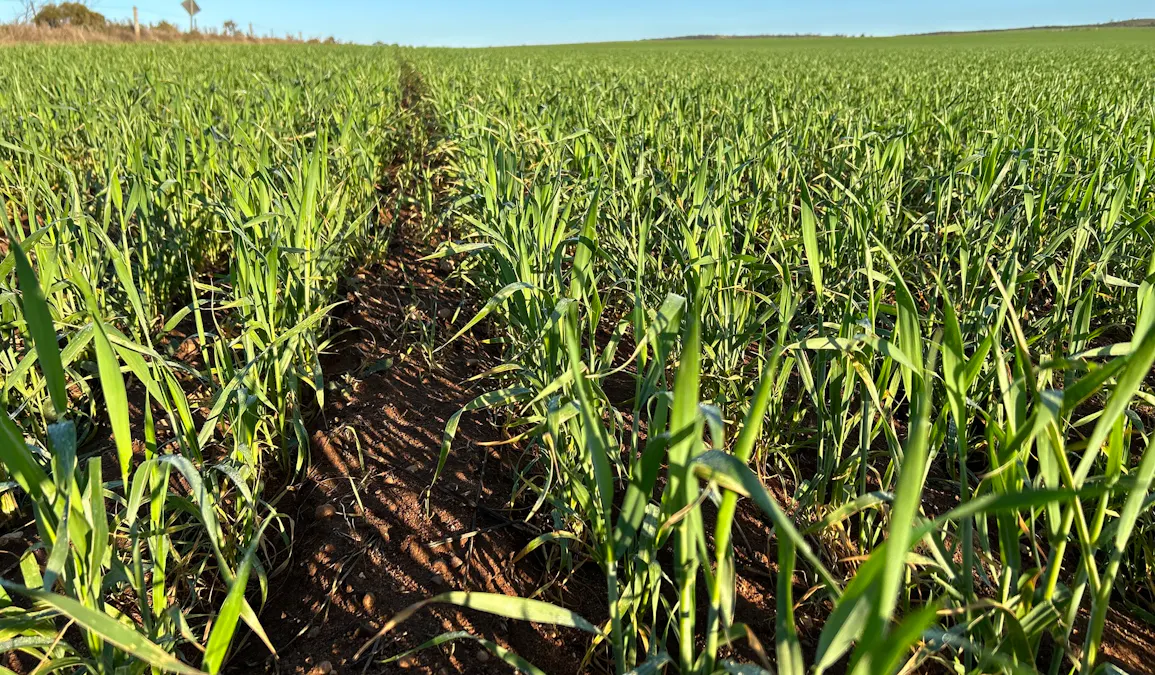 Level 1/14143 Lincoln Highway, Cowell, SA, 5602 - Image 24