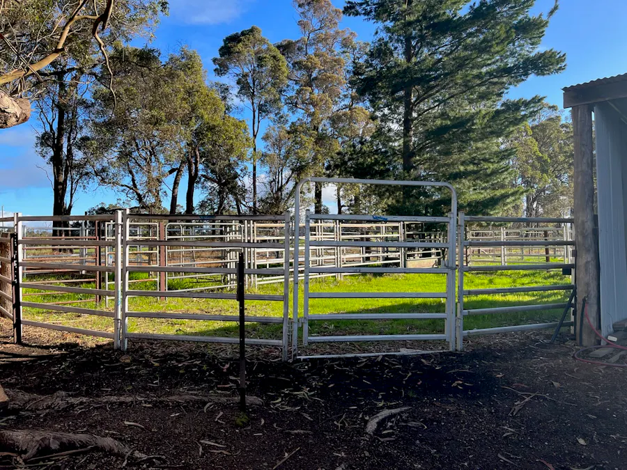 88 Gibellinis Road, Manjimup, WA, 6258 - Image 8