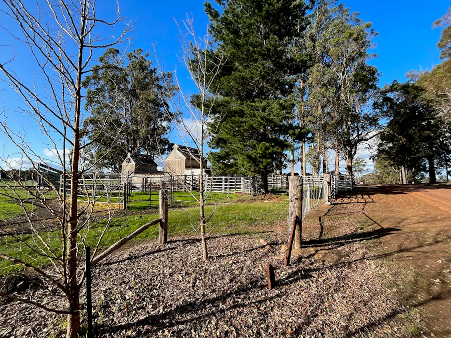 88 Gibellinis Road, Manjimup, WA, 6258 - Image 3