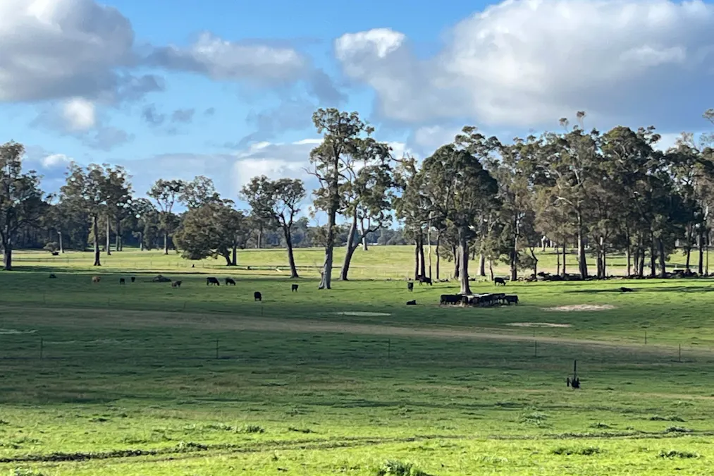 88 Gibellinis Road, Manjimup, WA, 6258 - Image 2