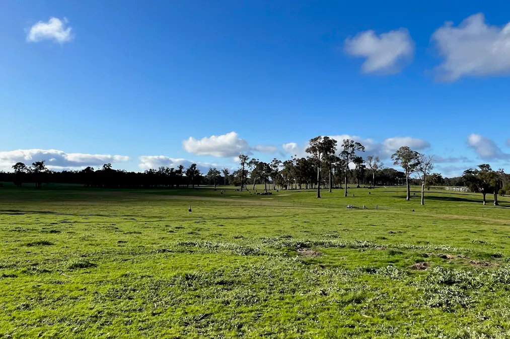 88 Gibellinis Road, Manjimup, WA, 6258 - Image 11