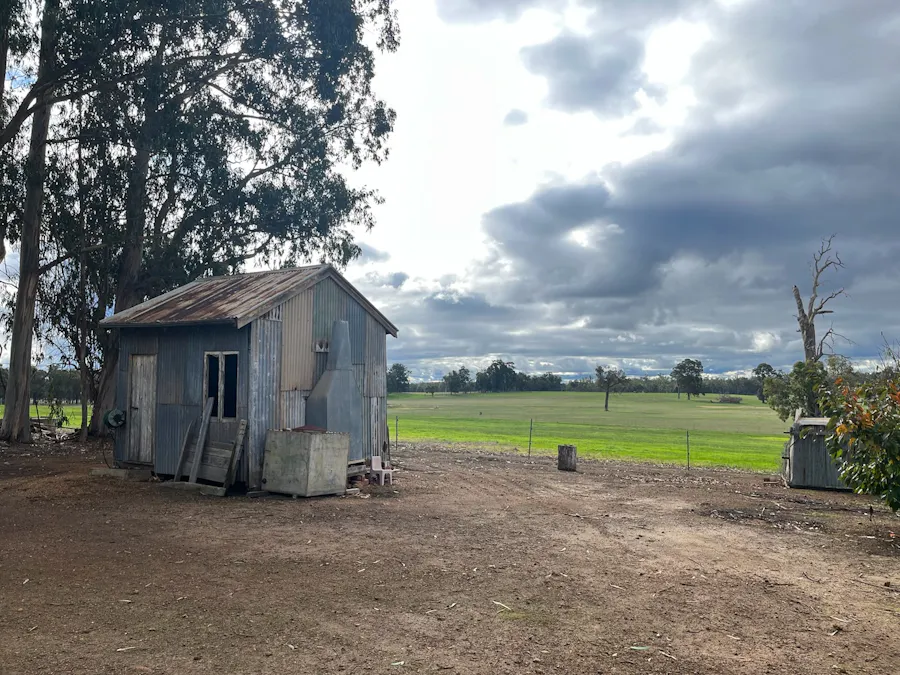 88 Gibellinis Road, Manjimup, WA, 6258 - Image 12