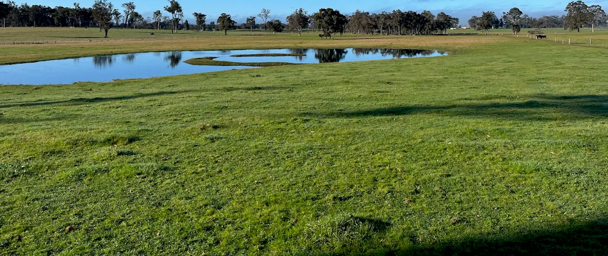 88 Gibellinis Road, Manjimup, WA, 6258 - Image 14