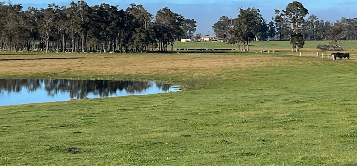 88 Gibellinis Road, Manjimup, WA, 6258 - Image 16