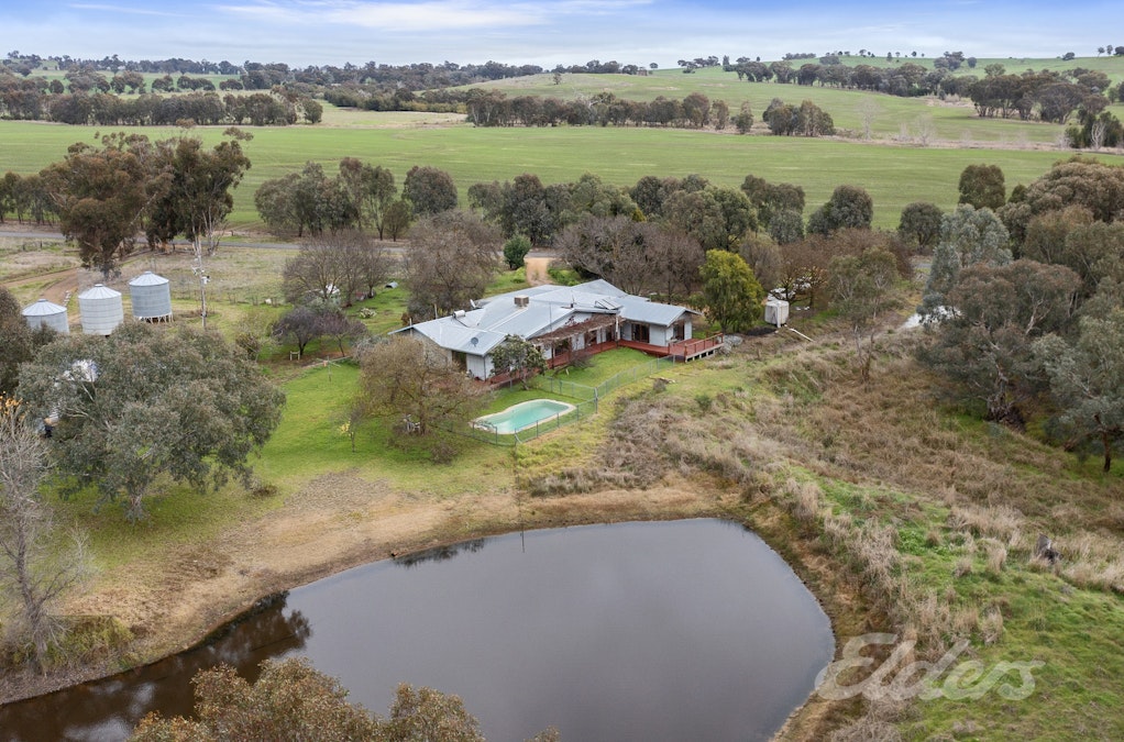 62 Ryans Road, Almonds, VIC, 3727 - Image 4