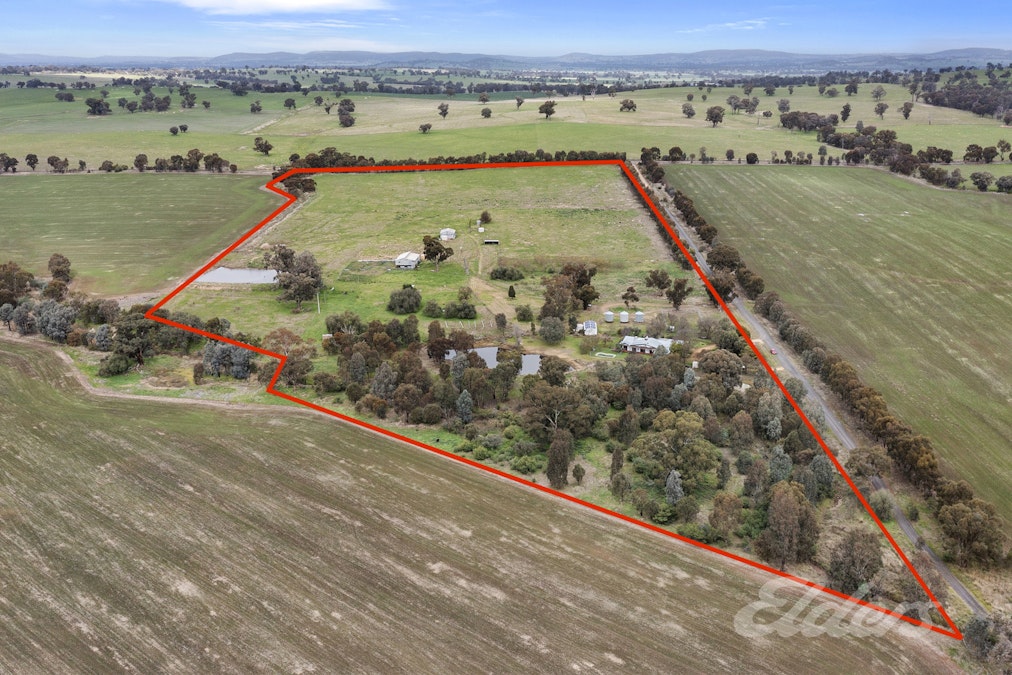 62 Ryans Road, Almonds, VIC, 3727 - Image 3