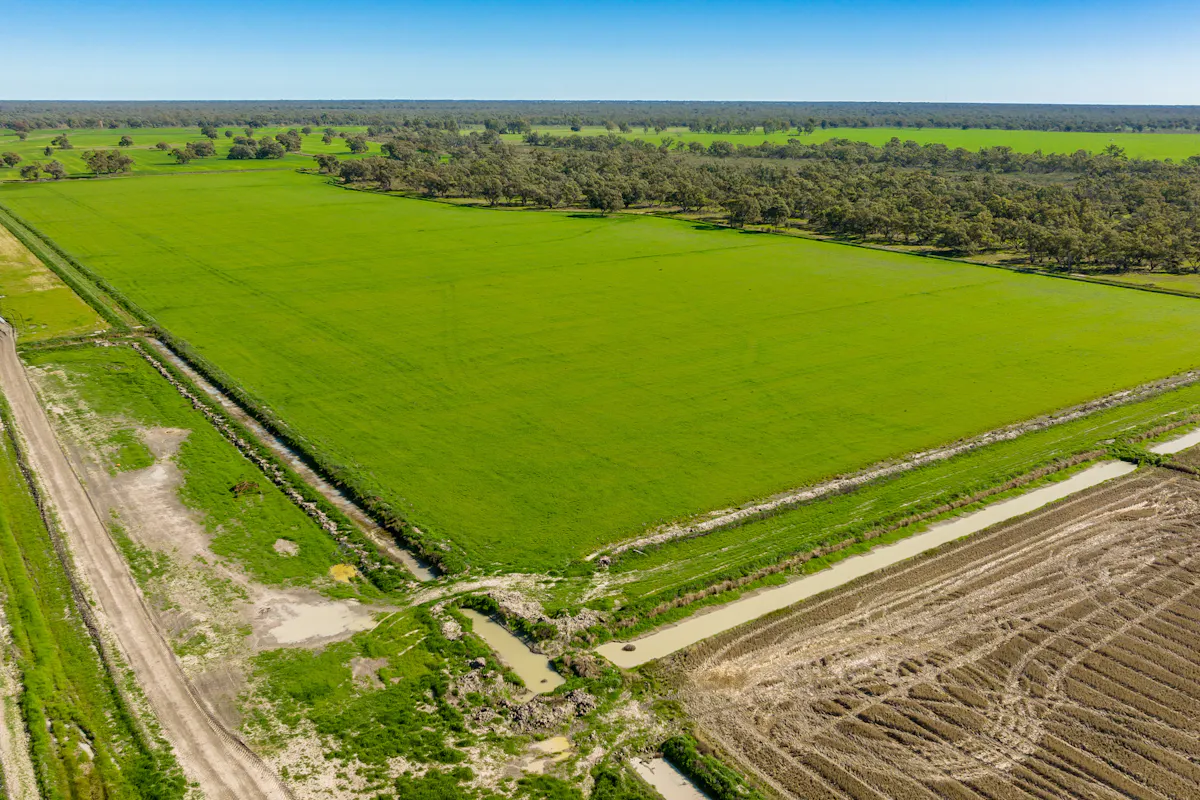 3163 Caldwell Line Road, Deniliquin, NSW, 2710 For Sale Elders Real Estate