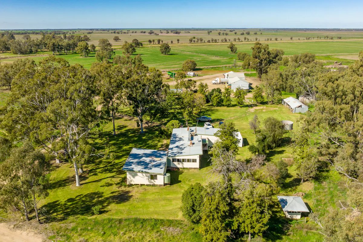 3163 Caldwell Line Road, Deniliquin, NSW, 2710 For Sale Elders Real