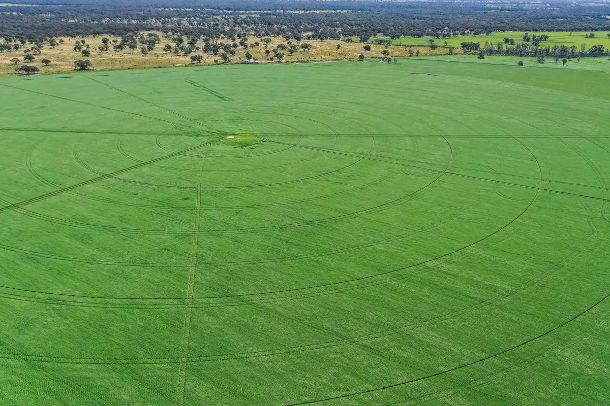 3163 Caldwell Line Road, Deniliquin, NSW, 2710 For Sale Elders Real