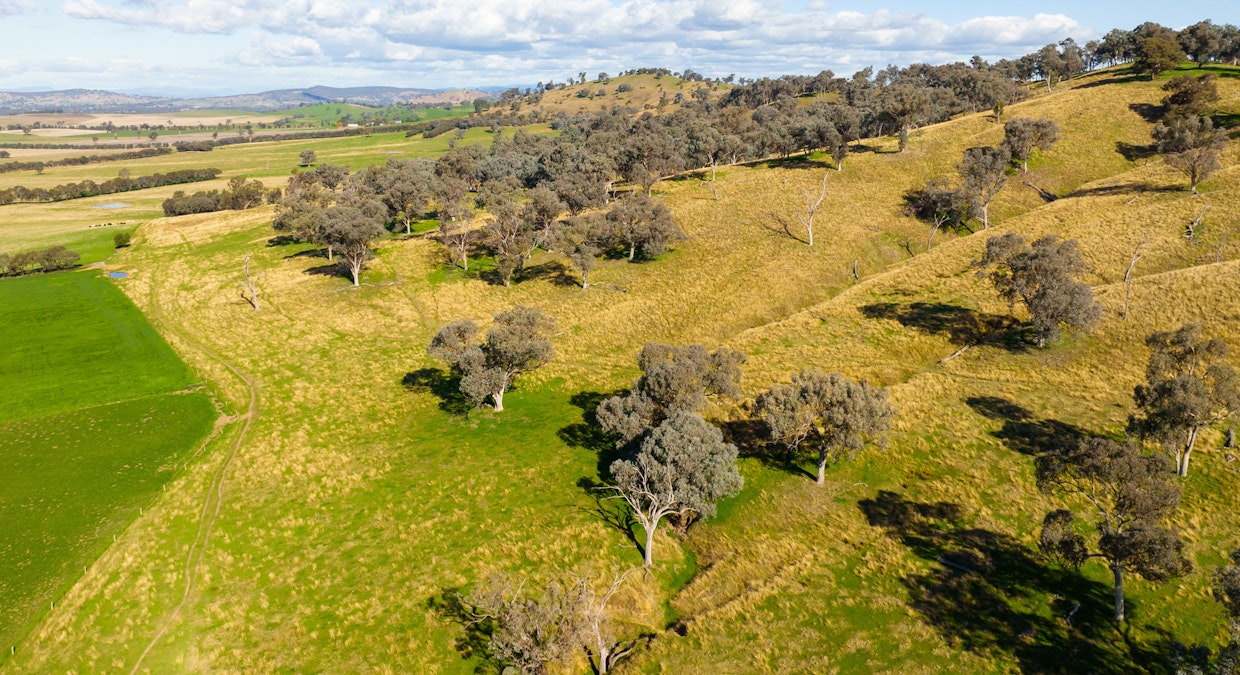 Part Granite Hill Road, Jindera, NSW, 2642 - Image 19
