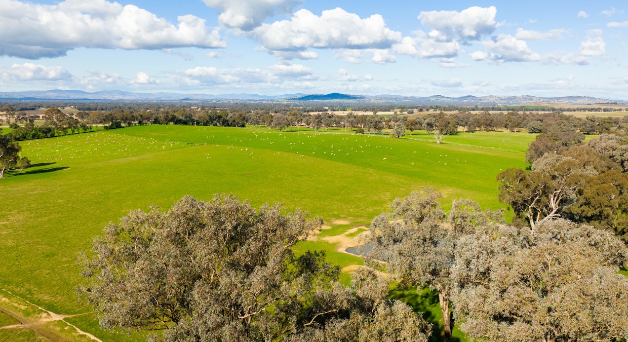 Part Granite Hill Road, Jindera, NSW, 2642 - Image 23