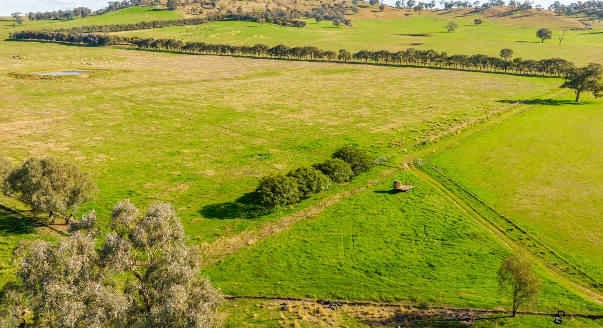 Part Granite Hill Road, Jindera, NSW, 2642 - Image 30