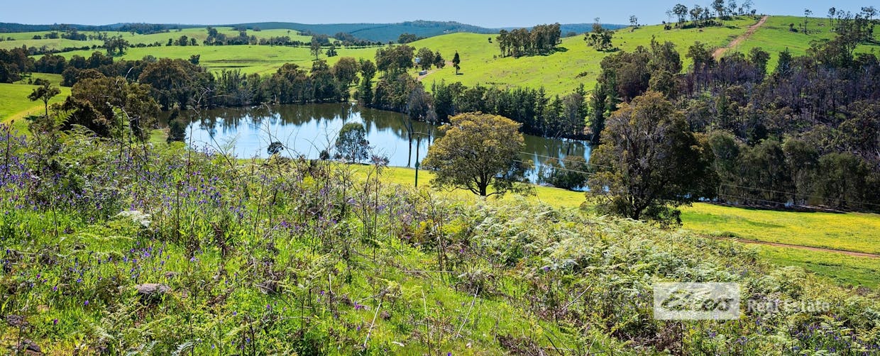 1043 Thomson Brook Road, Thomson Brook, WA, 6239 - Image 12