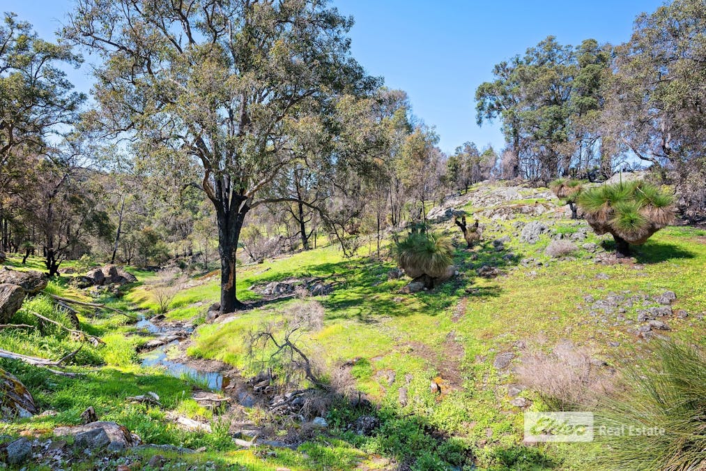 1043 Thomson Brook Road, Thomson Brook, WA, 6239 - Image 20