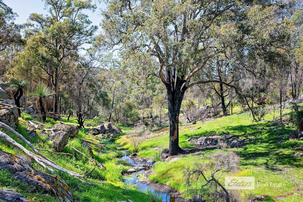 1043 Thomson Brook Road, Thomson Brook, WA, 6239 - Image 21