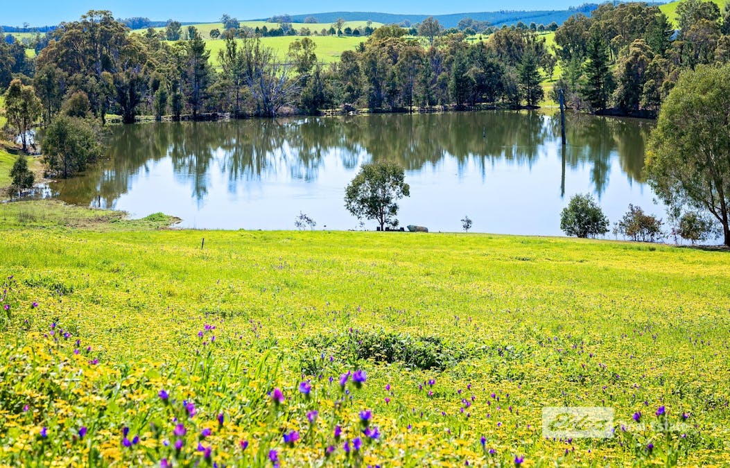 1043 Thomson Brook Road, Thomson Brook, WA, 6239 - Image 15