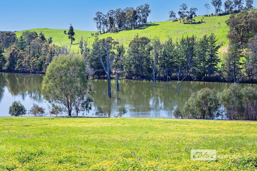1043 Thomson Brook Road, Thomson Brook, WA, 6239 - Image 16