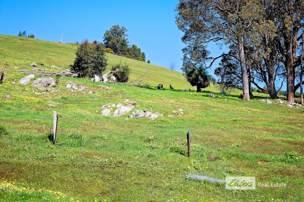 1043 Thomson Brook Road, Thomson Brook, WA, 6239 - Image 25
