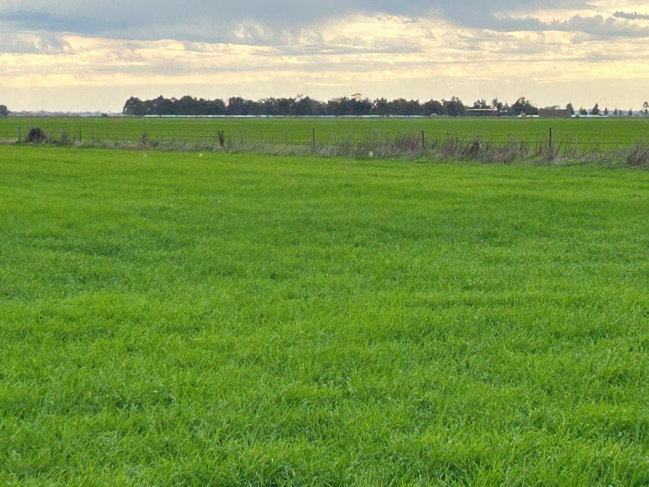 Mt Terrick And Hattwell Road, Echuca, VIC, 3564 For Sale Elders