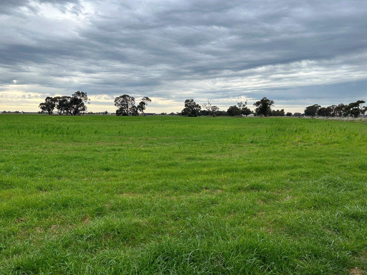 Mt Terrick And Hattwell Road, Echuca, VIC, 3564 For Sale Elders