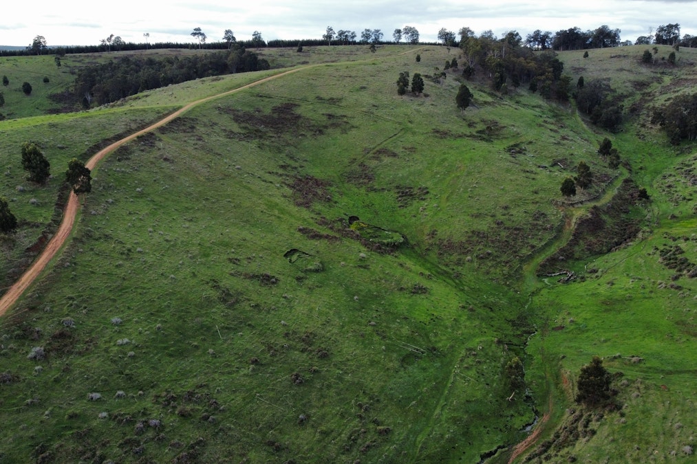 Portion of Cundinup-Dudinyillup Road, Nannup, WA, 6275 - Image 7