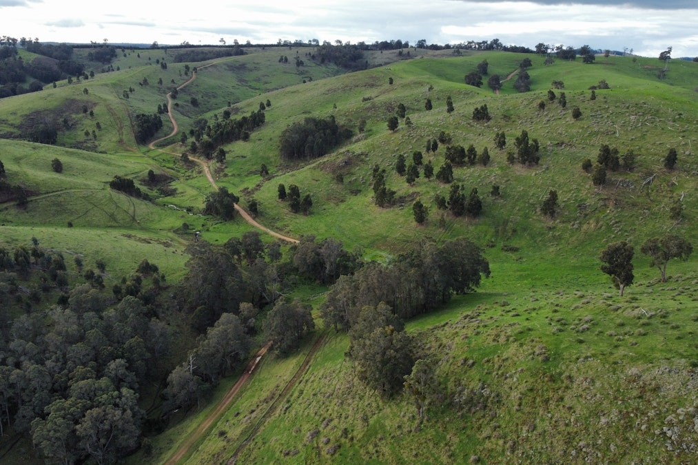 Portion of Cundinup-Dudinyillup Road, Nannup, WA, 6275 - Image 1