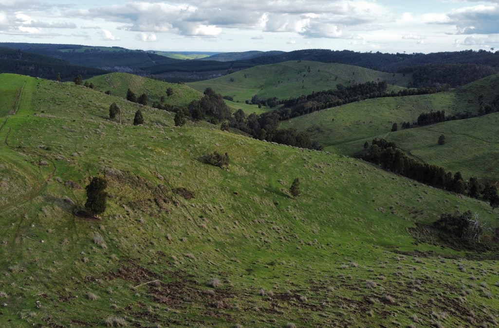 Portion of Cundinup-Dudinyillup Road, Nannup, WA, 6275 - Image 11