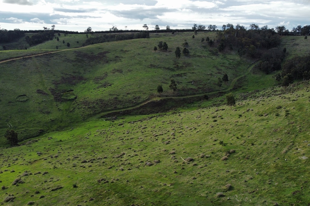 Portion of Cundinup-Dudinyillup Road, Nannup, WA, 6275 - Image 12
