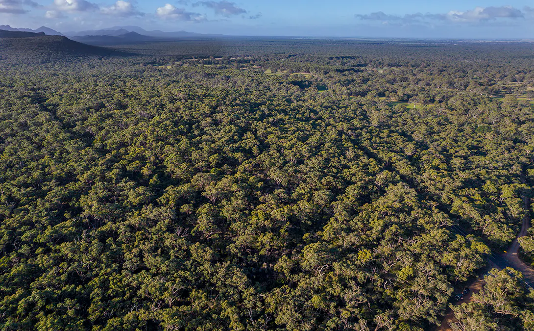 Grampians Road, Bornes Hill, VIC, 3379 - Image 2